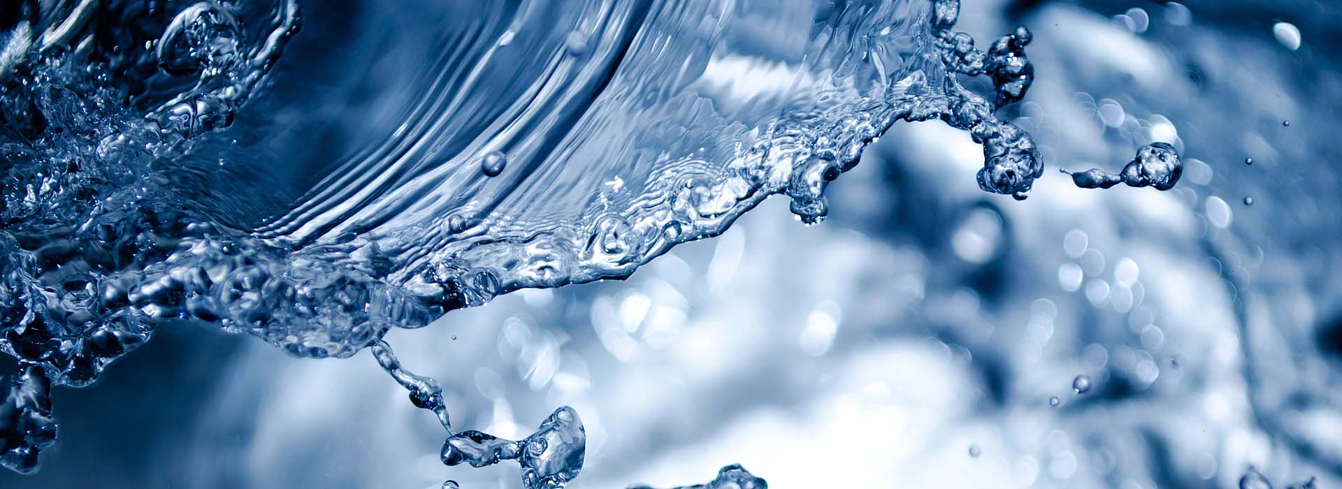 mutpoint-bewerbung-head-mut-vision